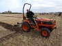 Horticultural Working Day in Aid of Brain Tumours 