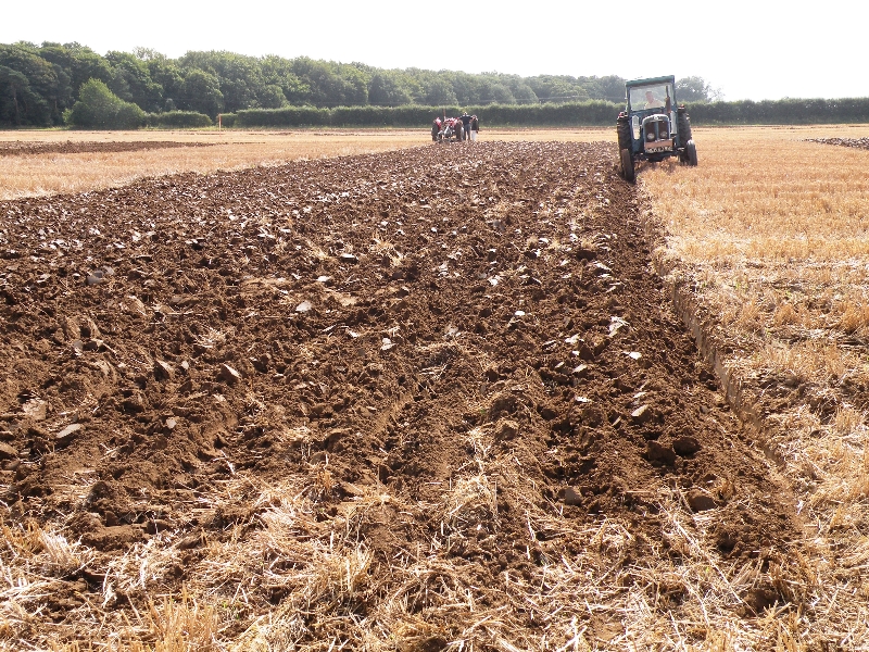 david-askew-on-his-1964-super-major-pulling-a-ransome-2-furrow-trailed-plough-3