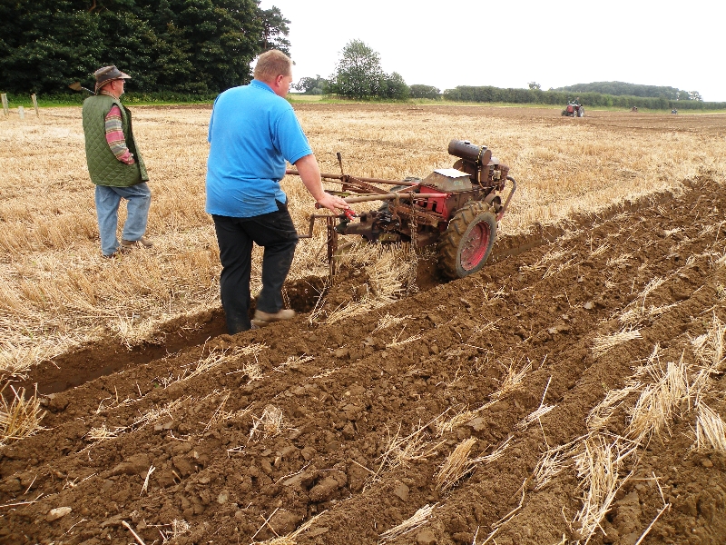 gavin-chapman-again-with-his-new-trusty-petrol-paraffin-single-furrow-plough-type-sv-54-which-is-fitted-with-a-douglas-engine-6