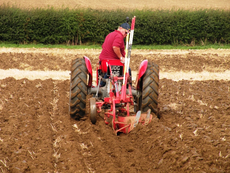 j-mawer-on-his-1954-ferguson-tef20-with-a-2-furrow-general-purpose-plough