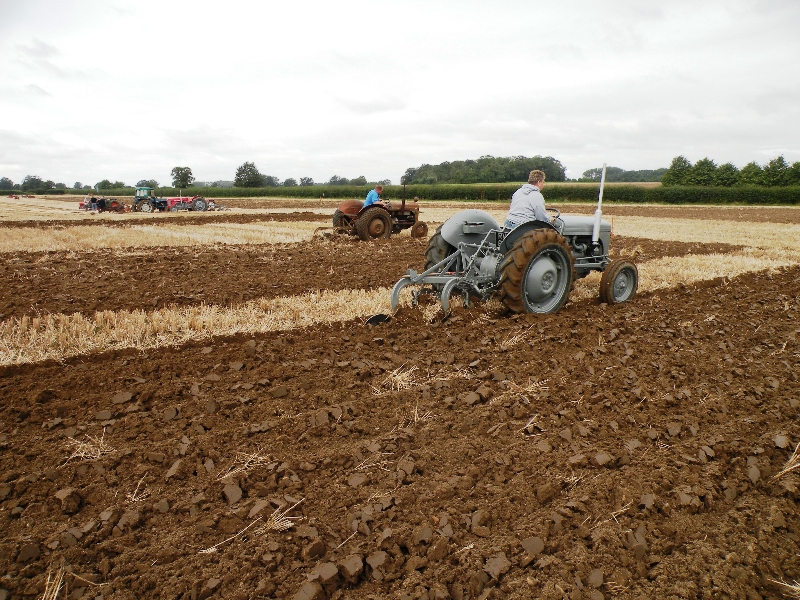 judy-webb-on-her-1954-ferguson-te20-and-her-general-purpose-2-furrow-plough-2