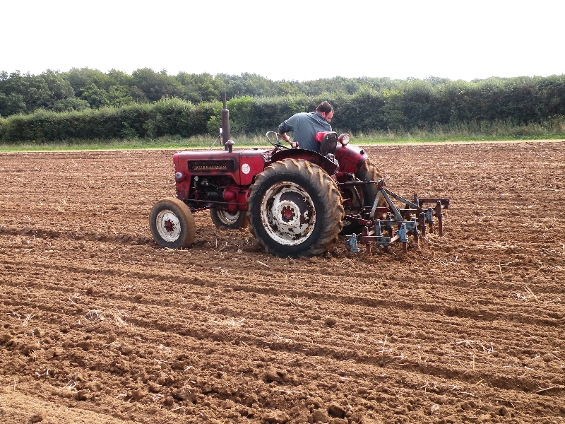 mathew-hoy-on-gordon-carson-bryan-bebas-1961-international-b275-working-for-the-first-time-in-20-years-with-a-tine-ransome-cultivator-2