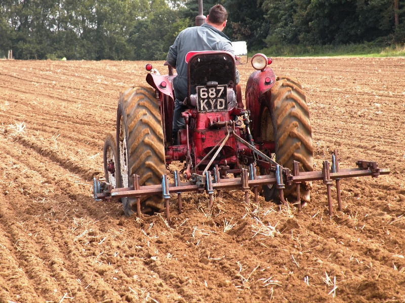 mathew-hoy-on-gordon-carson-bryan-bebas-1961-international-b275-working-for-the-first-time-in-20-years-with-a-tine-ransome-cultivator-3