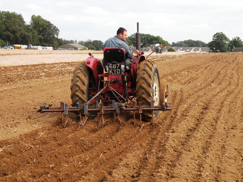 mathew-hoy-on-gordon-carson-bryan-bebas-1961-international-b275-working-for-the-first-time-in-20-years-with-a-tine-ransome-cultivator-5