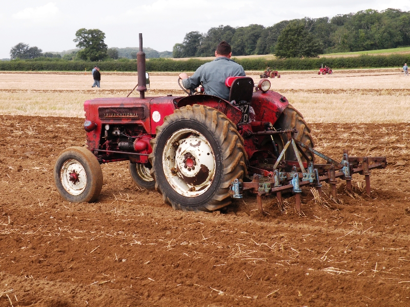 mathew-hoy-on-gordon-carson-bryan-bebas-1961-international-b275-working-for-the-first-time-in-20-years-with-a-tine-ransome-cultivator-7