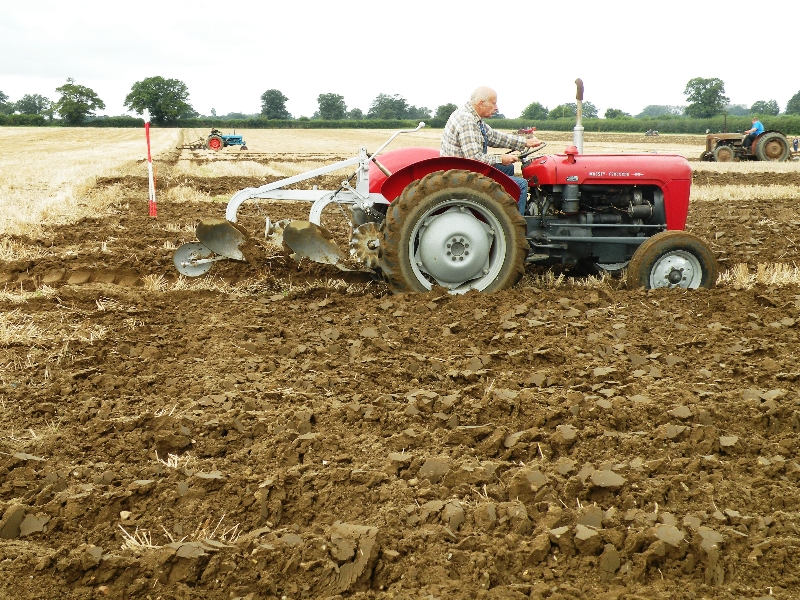 philip-freeman-on-his-1961-mf65-and-his-ferguson-general-purpose-2-furrow-plough-2