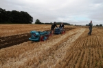 dave-buttriss-on-his-ransome-mgs-1952-working-his-single-furrow-ts-42-plough-2