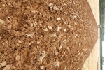 dscn3136