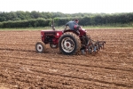 mathew-hoy-on-gordon-carson-bryan-bebas-1961-international-b275-working-for-the-first-time-in-20-years-with-a-tine-ransome-cultivator-2