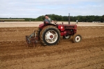 mathew-hoy-on-gordon-carson-bryan-bebas-1961-international-b275-working-for-the-first-time-in-20-years-with-a-tine-ransome-cultivator-4