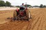 mathew-hoy-on-gordon-carson-bryan-bebas-1961-international-b275-working-for-the-first-time-in-20-years-with-a-tine-ransome-cultivator-5